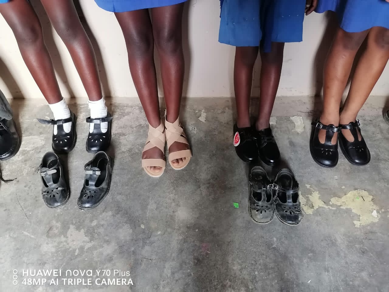 OGKCO Activity - November 21, 2024 - 02:27:28